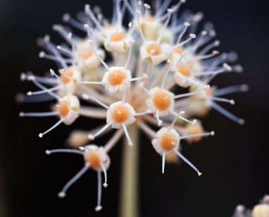 男性怎样预防脱发呢