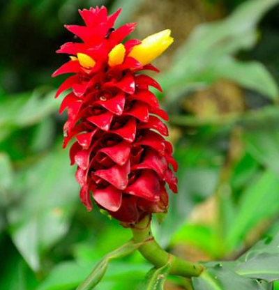 皮炎患者需要如何护理