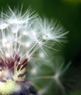 预防鱼鳞病的方法有什么