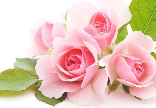 鱼鳞病的病因有哪些