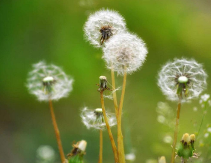 扁平疣日常如何护理