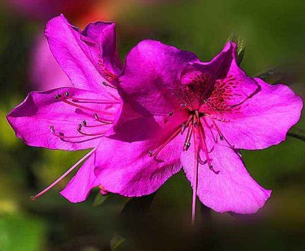 狐臭会造成哪些影响