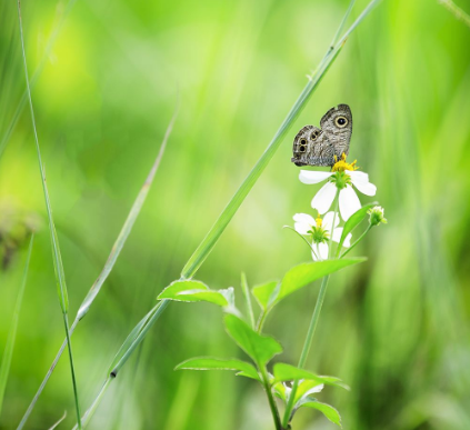 脚气的症状有哪些表现