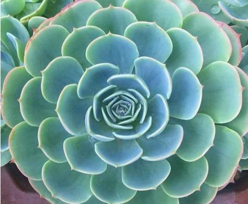 青春痘应该怎么护理