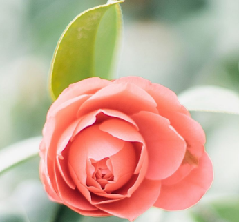 如何来防止青春痘的发生