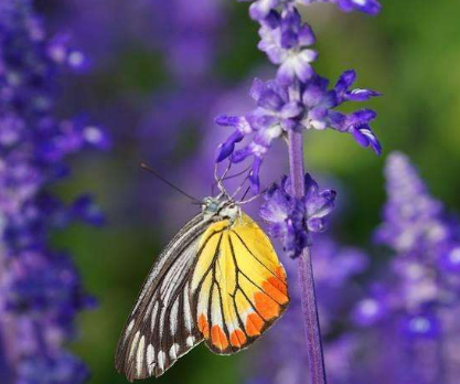 额头上长痘怎么回事
